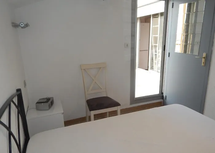 Ibis * Saint-Pierre-la-Mer (Aude)